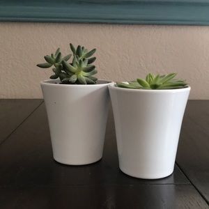 Meet your Posher, Cassandra